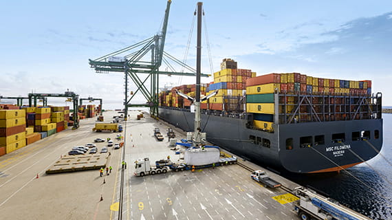 MSC Filomena at port