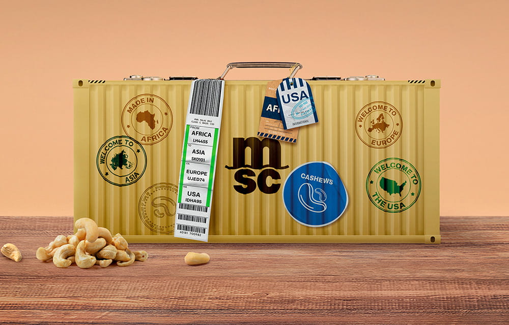 MSC Dry container as a suitcase with customs stamps and cashews