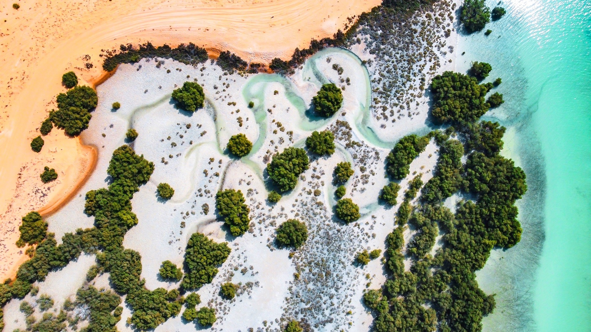 Blue and green waters reach the beach creating a unique ecosystem. MSC, as a global leader in logistics, is taking proactive sustainable measures to protect marine ecosystems and our blue planet. 