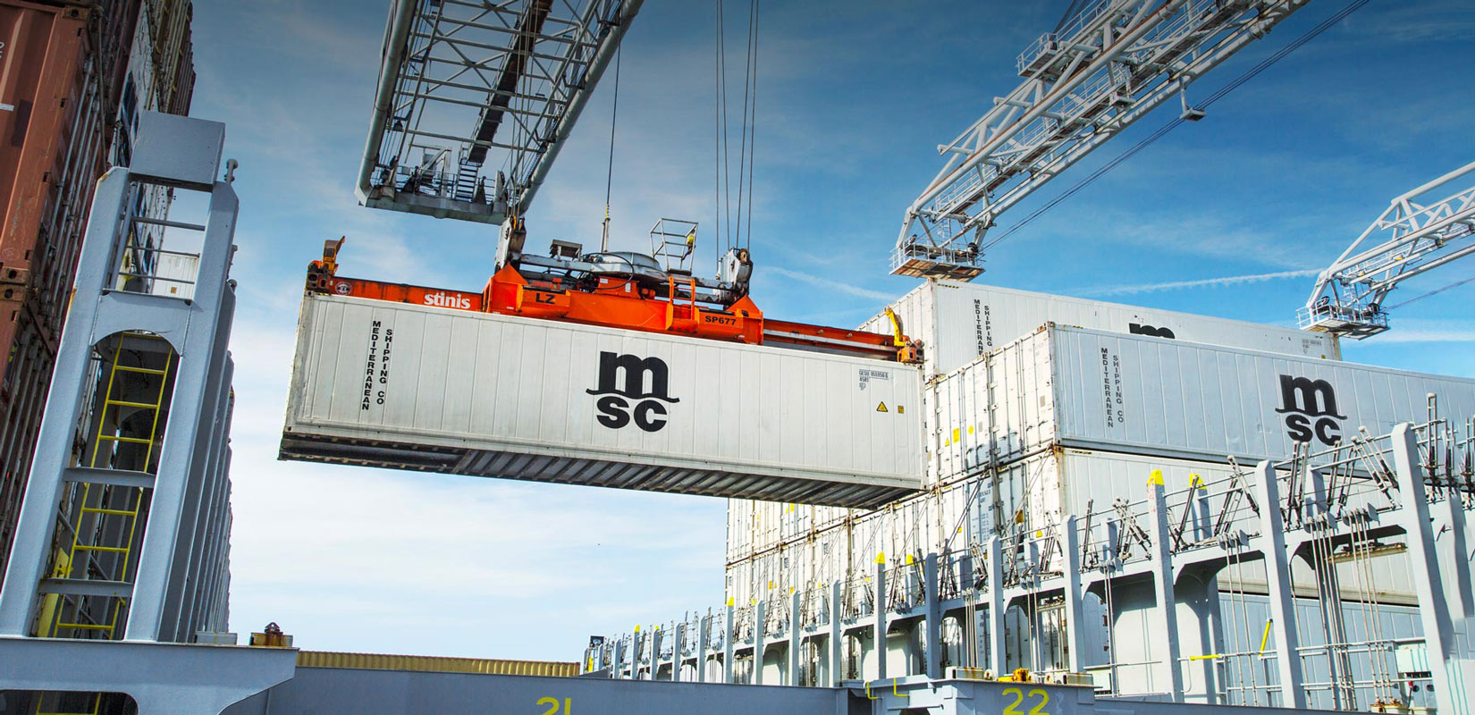 Reefer Containers & Cargo - Refrigerated Transport | MSC